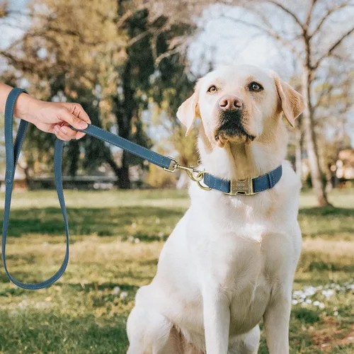 Miniatura 2 de Collares de perro personalizados para cachorros, collar de perro de piel sintética suave personalizado con nombre y número de identificación Jade