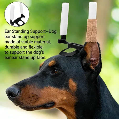 Herramienta de soporte para orejas de perro, kit de publicación de orejas de perro con cinta y 2 barras de corrección fijas verticales para