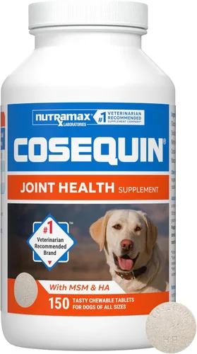 Miniatura 15 de Nutramax Laboratories Cosequin Suplemento de salud articular de máxima fuerza para perros, con glucosamina, condroitina y MSM, paquete de 2, 264