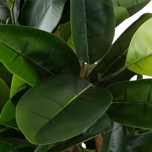 Miniatura 6 de Pure Garden - Planta de goma artificial, árbol sintético de 70 pulgadas con hojas de tacto natural, planta de interior realista en maceta