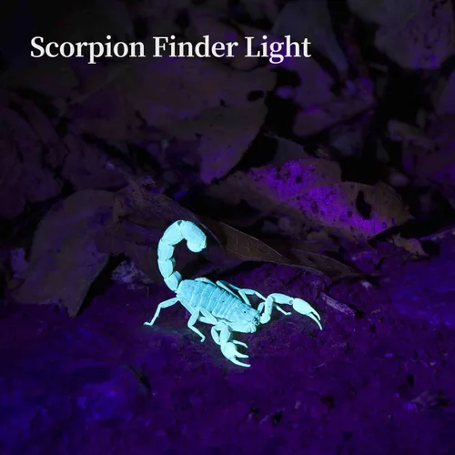 Miniatura 5 de Linterna de luz negra UV 365nm 395nm para curado de pegamento UV, rocas y minerales, detector de manchas de mascotas, buscador de escorpiones