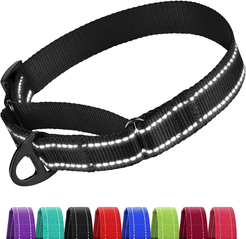 Miniatura 10 de CollarDirect Martingale - Collar de nailon resistente para perros pequeños, medianos y grandes [nailon, estampado, aguamarina, L, 15-20 pulgadas)