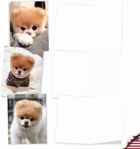 Miniatura 4 de The Best Card Company - 10 tarjetas de felicitación para perros en blanco para todas las ocasiones (4 x 5.12 pulgadas) - Boo El perro más lindo