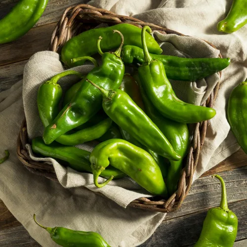 Miniatura 7 de 505 Southwestern Salsa estilo restaurante, 16 oz — Salsa suave y vertible de Nuevo México con escotilla asada a la llama Green Chile