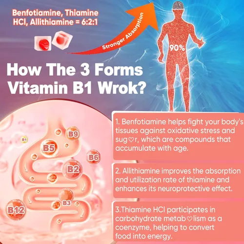 Miniatura 5 de Gomitas de complejo de vitamina B1 y vitamina B metilada, todas las vitaminas B, benfotiamina, tiamina e inositol, multivitaminas B1 B2 B6