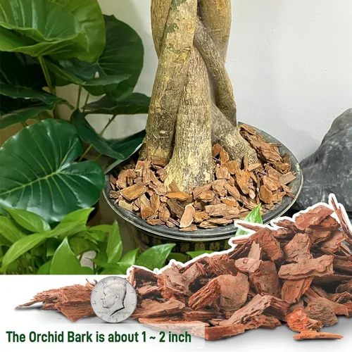 Miniatura 4 de 3 cuartos de corteza de orquídea orgánica para macetas - Mantillo natural de orquídea para plantas en maceta, desarrollo de raíces de plantas