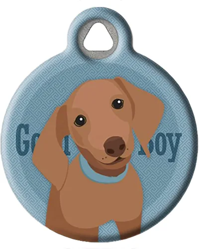 Miniatura 9 de Good Boy Airedale - Etiqueta de identificación personalizada para mascotas para perros y gatos, tamaño grande