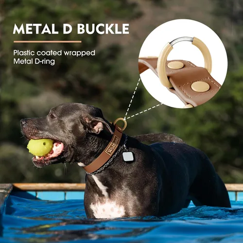 Miniatura 4 de Wolfone - Collar impermeable para perros con hebilla de liberación rápida, collar ajustable lindo para perros, cómodo, resistente, duradero, a Verde
