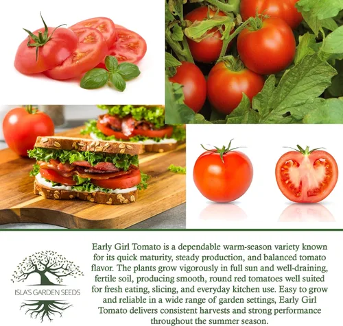 Miniatura 6 de Semillas de tomate Early Girl para plantar, más de 25 semillas por paquete, semillas de jardín de Isla (semillas de jardín de Isla), semillas sin