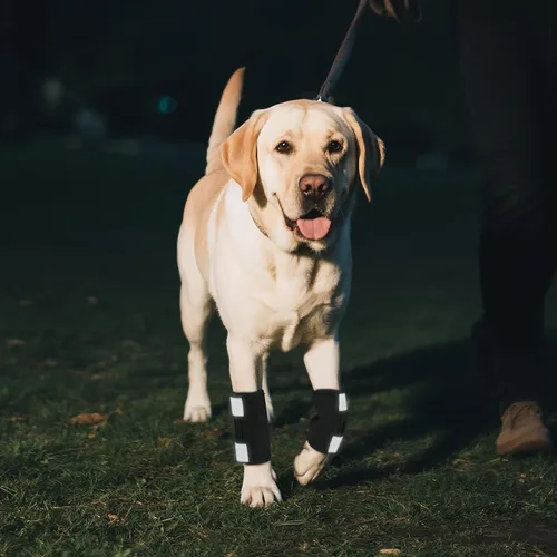 Miniatura 5 de Tobillera para patas de perro con correas reflectantes, 2 tobilleras para extremidades anteriores, férula de recuperación posterior a una lesión