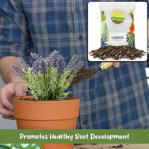 Miniatura 4 de Soil Sunrise Mezcla de tierra para macetas de lavanda (8 cuartos de galón) para interiores y exteriores, mezcla de jardinería para plantas