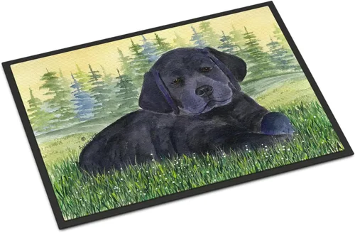 Miniatura 363 de Caroline's Treasures SS8220MAT - Felpudo afgano de 18 x 27 pulgadas, para interiores y exteriores, para entrada, antideslizante, lavable, de pelo