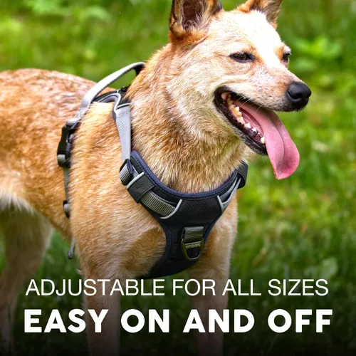Miniatura 5 de Embark Active arnés de perro, fácil de encendido y apagado con parte delantera y trasera correa accesorios & mango de control – no tirar de Negro