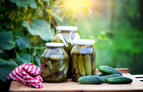 Miniatura 2 de Semillas nacionales de pepino encurtido para plantar, más de 75 semillas tradicionales por paquete, semillas de jardín de Isla