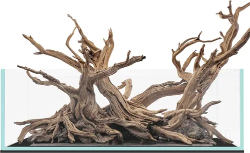 Miniatura 35 de UNS Acuario Ultra Claro Sin Borde - 25.6GAL 97.2L - 23.62x14.17x17.71 60x36x45 CM, Grosor de Vidrio de 6mm, Incluye Alfombrilla Nivelante