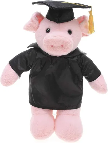 Plushland Juguetes de peluche de cerdo, regalos para el día de graduación, texto personalizado, nombre o logotipo de tu escuela en el vestido, lo