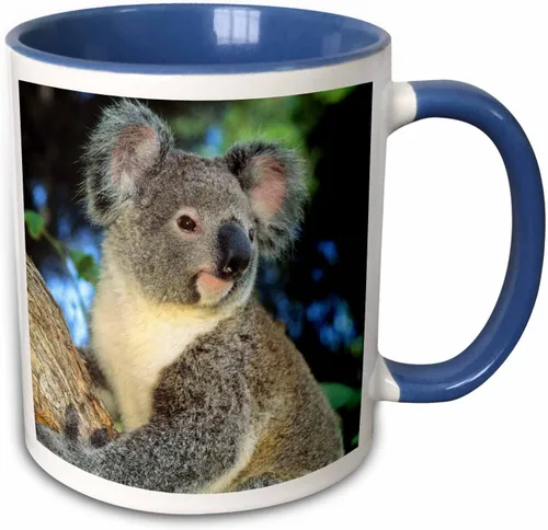 Miniatura 9 de 3dRose Oso de koala, Australia, árbol de eucalipto - SA01 KSC0000 - Kevin Schafer - Taza negra de dos tonos de 11 oz