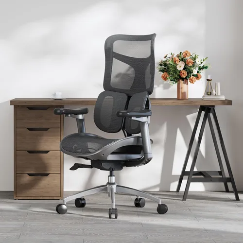 Miniatura 2 de SIHOO Doro S100 Ergonomic Office Chair - Dual Dynamic Lumbar Support, 4D Coordinated Armrests, 5-Level Adjustable Backrest, Recline Angle 135-degree