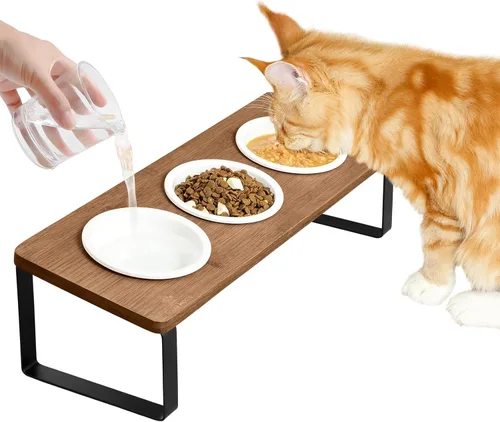 Sunhoo Tazones Elevados para Comida y Agua de Gatos, Platos Inclinados Elevados para Gatitos, Juego de 3 Platos de Cerámica para Gatos de Interior,