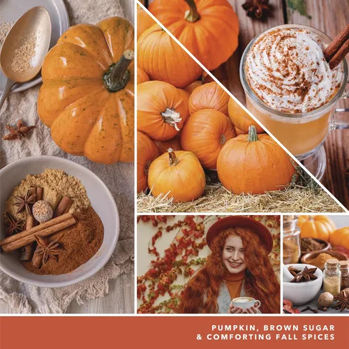 Miniatura 4 de Yankee Candle - Vela perfumada en tarro grande de 22 onzas, clásica, de solo una mecha, más de 110 horas de combustión, para aromaterapia, otoño e
