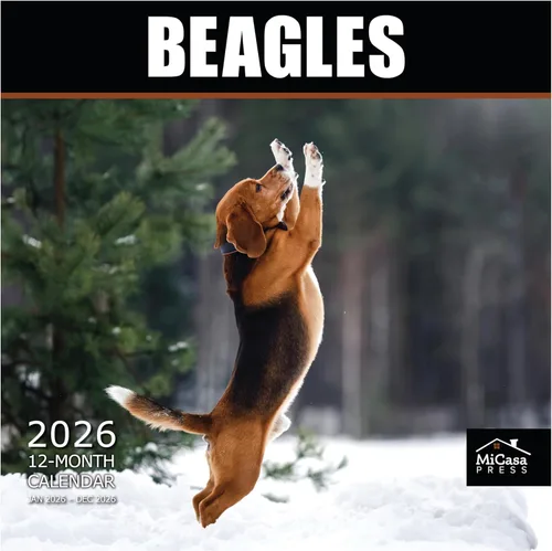 MICASA PRESS Beagles - Calendario de pared 2026 de 12 meses | 12 x 24 pulgadas abierto | Papel grueso y resistente | Regalo | Lindo calendario de