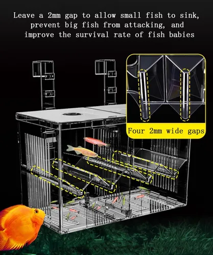 Miniatura 2 de Caja de criador de acuario, caja de criador de acuario de acrílico, cajas de alimentación de incubadora de aislamiento para criadero de peces