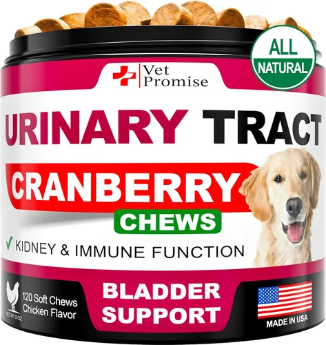 Miniatura 9 de Hongo Cola de Pavo para Perros - 170 Masticables - Suplemento de Hongos para Perros - Melena de León - Reishi - Apoyo Inmunológico Multivitamínico