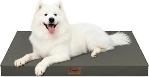 Miniatura 49 de Cama ortopédica de felpa para perros y cachorros medianos, camas impermeables para perros de 30 x 20 pulgadas con funda extraíble lavable, tapete