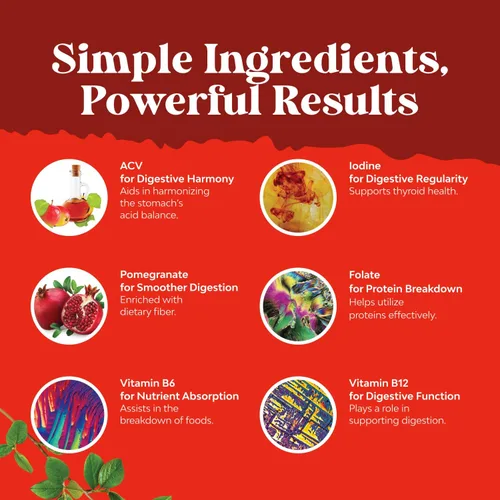 Miniatura 5 de Gomitas de vinagre de sidra de manzana con madre, gomitas de limpieza y desintoxicación ACV para la salud intestinal, hinchazón, metabolismo y apoyo