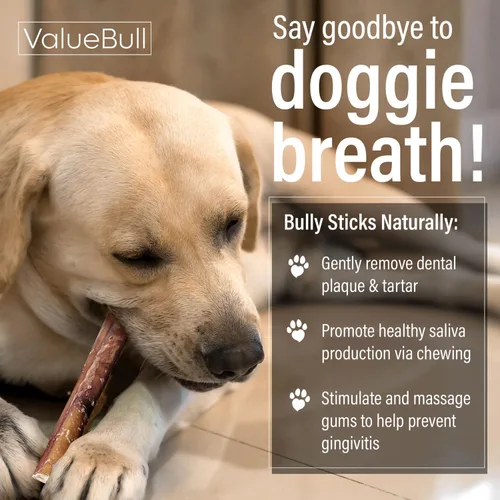 Miniatura 5 de ValueBull Bully Sticks para perros pequeños, extrafinos de 6 pulgadas, 50 unidades, totalmente naturales, alimentados con pasto, de un solo