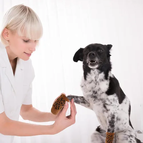 Miniatura 5 de ROZKITCH Manga de compresión para perro, 2 piezas de pierna delantera y 2 rodillas de pierna trasera, envoltura para codo de perro, protector