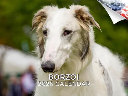 Miniatura 118 de Calendario 2025 2026 de cachorros Cocker Spaniel - Calendario mensual de pared de raza de perro - 12" x 24" abierto - Papel grueso sin sangrado