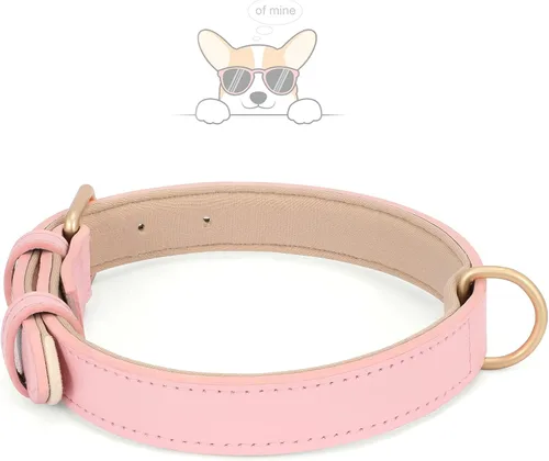 Miniatura 3 de WHIPPY Collar de cuero para perro pequeño, mediano y grande, ajustable, suave, transpirable, acolchado de cuero con hebilla de aleación, resistente
