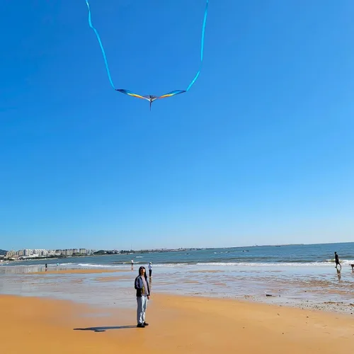 Miniatura 5 de Large Rainbow Delta Kite for Kids & Adults,Single Line Beach Kite for Kids Ages 4-8 & 8-12,Easy to Fly for Toddlers and Beginners