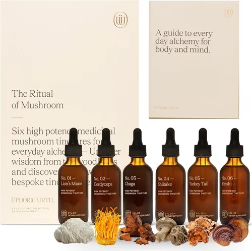 Miniatura 11 de Mezcla de mezcla de hongos No.1-6 Reishi, Chaga, melena de león, cola de pavo, cordyceps y shiitake, refuerzo de inmunidad de apoyo natural, aumenta