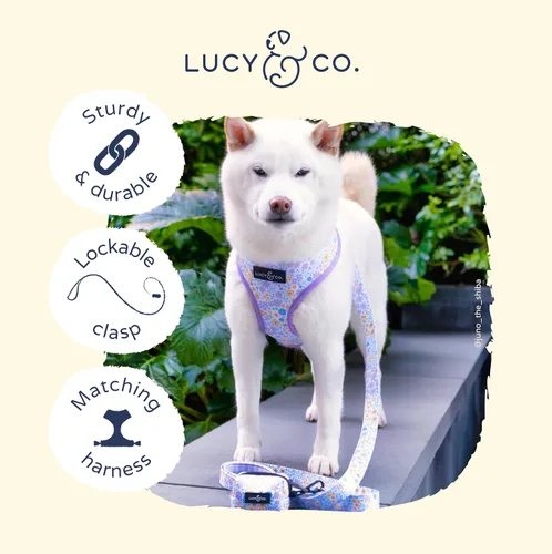 Miniatura 3 de Correa para perros de diseño Lucy & Co. - Accesorios para mascotas - Correa gruesa para perros - Asa acolchada para mayor comodidad - Entre