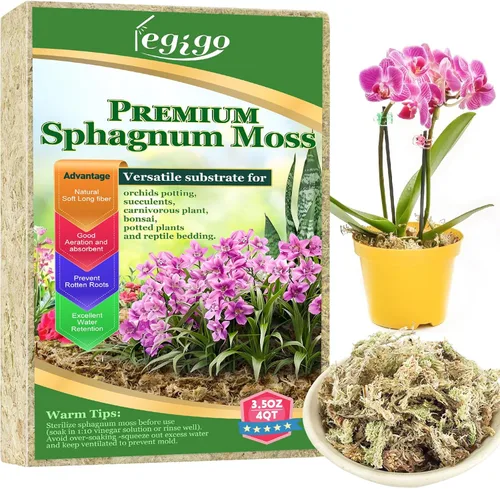 Legigo 100 g de musgo natural esfagno para plantas, mezcla para macetas de orquídea de fibra larga 4QT, musgo esfagno seco para plantas de interior,