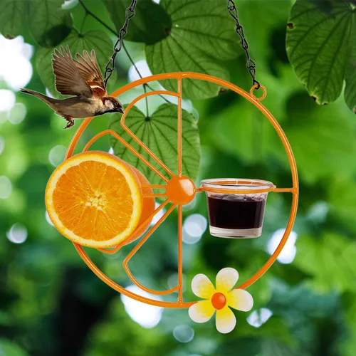 Miniatura 4 de FORUP Oriole - Comedero para pájaros para jalea y naranjas al aire libre, comedero para pájaros de jalea de Oriola de fruta naranja, para jardín al
