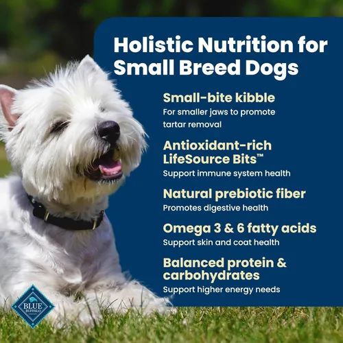 Miniatura 3 de Blue Buffalo Life Protection Formula Alimento Seco para Perros Adultos de Raza Pequeña, Apoya las Altas Necesidades de Energía, Hecho