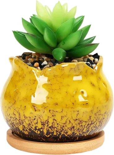 Miniatura 69 de Bonita maceta circular de cerámica para decoración del hogar y jardín, suculentas, cactus, maceta no incluida (azul, 3.19 pulgadas)