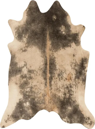 Loloi Grand Canyon Collection GC-13 - Alfombra decorativa beige y ceniza, 3 pies y 10 pulgadas x 5 pies