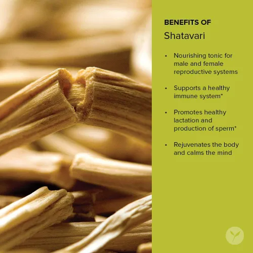 Miniatura 5 de Banyan Botanicals polvo de Asparagus racemosus, orgánico USDA, Asparagus racemosus, rejuvenecedor para Vata y Pitta, promueve la vitalidad