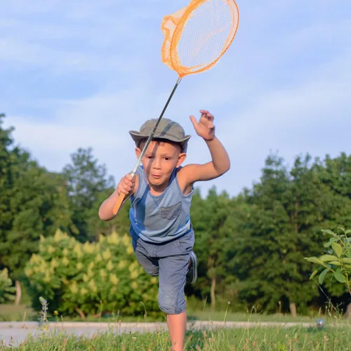Miniatura 8 de TENDYCOCO Redes telescópicas para atrapar insectos al aire libre con cubos para niños, kit extensible para atrapar insectos y red de pesca