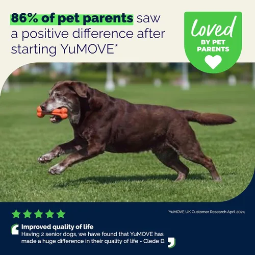 Miniatura 7 de YuMOVE Suplemento para articulaciones para perros mayores, suplemento avanzado de fuerza veterinaria para cadera y articulaciones para perros