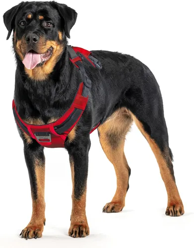 Miniatura 9 de Outward Hound Boulder Adventure - Arnés ajustable para perro con bolsillos, turquesa, mediano
