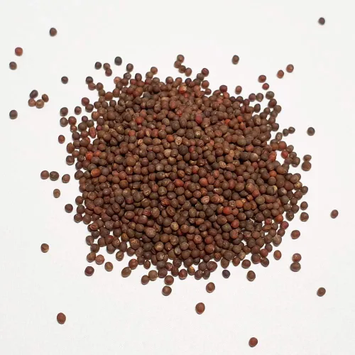 Miniatura 3 de Semillas de col rizada negra de Toscana de 8 oz para microgreens