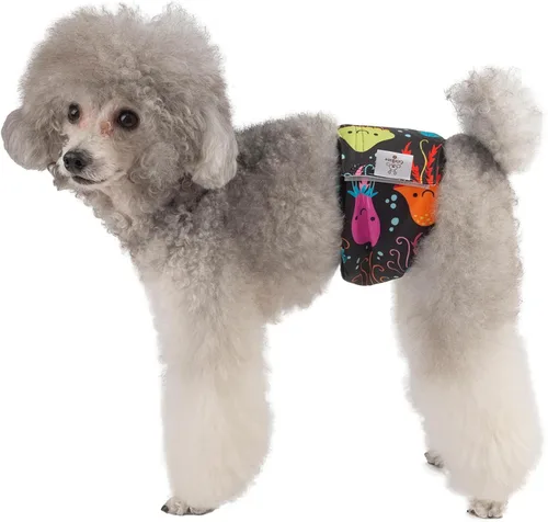 Miniatura 7 de CuteBone - Pañales lavables para perro macho, 3 unidades por paquete, modelo DM28XL