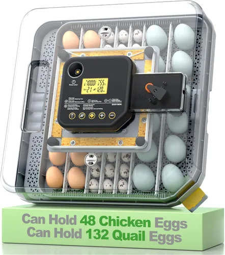 Incubadora de huevos para incubar 48-132 huevos de pollo/codorniz/pavo, incubadoras de aves de corral con giro automático de huevos/control de