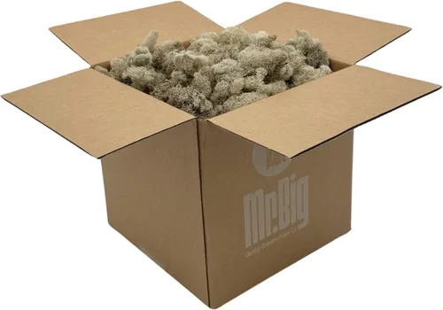 Miniatura 20 de Quality Growers - Musgo de reno preservado - Musgo para manualidades, decoración del hogar, arte, diseño y proyectos de bricolaje - No tóxico