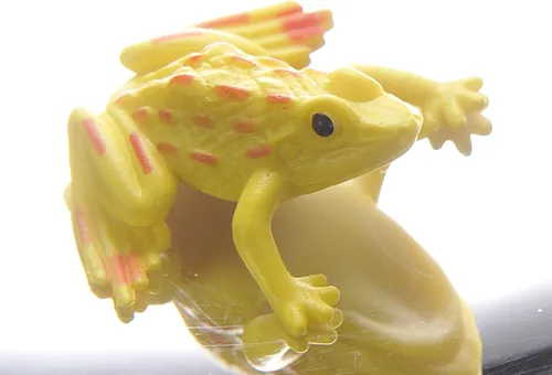 Miniatura 4 de PowerTRC Mirascopio 3-D de 6 pulgadas, creador de ilusiones ilusiones ópticas Juguete de efecto 3D